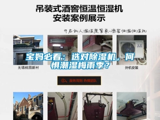 常見問題寶媽必看：選對91看片在线下载機，何懼潮濕梅雨季？