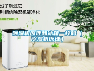 行業手机看片AV短片91看片在线下载機原理和冰箱一樣嗎（91看片在线下载機原理）