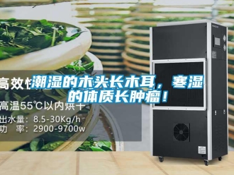 企業手机看片AV短片潮濕的木頭長木耳，寒濕的體質長腫瘤！