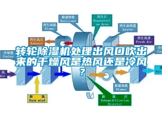常見問題轉輪91看片在线下载機處理出風口吹出來的幹燥風是熱風還是冷風？