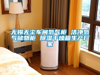 企業手机看片AV短片無錫無塵車間氮氣櫃 潔淨氮氣儲物櫃 91看片在线下载幹燥箱生產廠家
