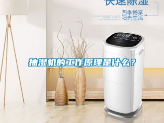 企業手机看片AV短片抽濕機的工作原理是什麽？