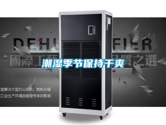 企業手机看片AV短片潮濕季節保持幹爽