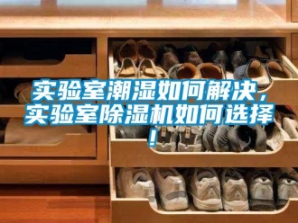 常見問題實驗室潮濕如何解決，實驗室91看片在线下载機如何選擇！