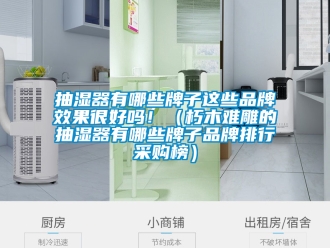 企業手机看片AV短片抽濕器有哪些牌子這些品牌效果很好嗎！（朽木難雕的抽濕器有哪些牌子品牌排行采購榜）