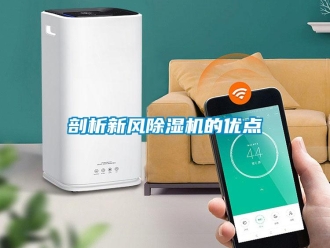 行業手机看片AV短片剖析新風91看片在线下载機的優點