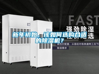常見問題新年初始，該如何選購合適的91看片在线下载機？