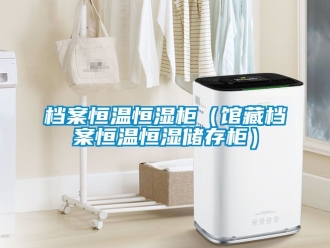 知識百科檔案恒溫恒濕櫃（館藏檔案恒溫恒濕儲存櫃）