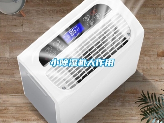 知識百科小91看片在线下载機大作用