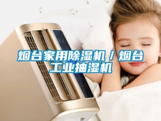 常見問題煙台家用91看片在线下载機／煙台工業抽濕機