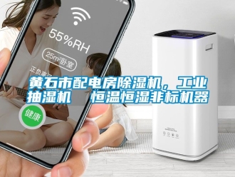 常見問題黃石市配電房91看片在线下载機，工業抽濕機  恒溫恒濕非標機器