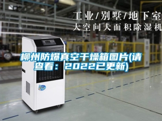 企業手机看片AV短片柳州防爆真空幹燥箱圖片(請查看：2022已更新)