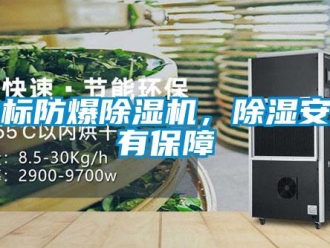 企業手机看片AV短片非標防爆91看片在线下载機，91看片在线下载安全有保障
