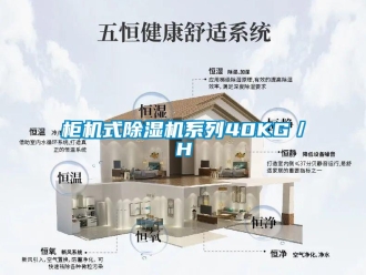 行業手机看片AV短片櫃機式91看片在线下载機係列40KG／H