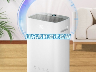 常見問題遼寧高低溫試驗箱