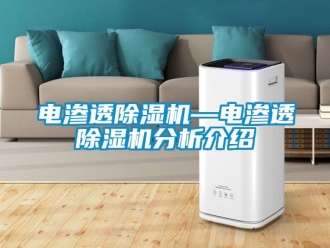 行業手机看片AV短片電滲透91看片在线下载機—電滲透91看片在线下载機分析介紹