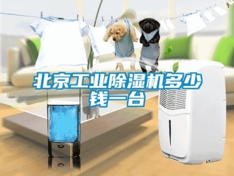 常見問題北京工業91看片在线下载機多少錢一台