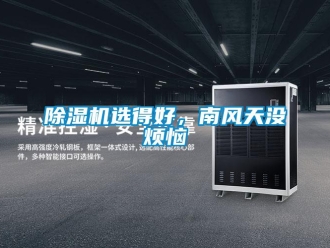 企業手机看片AV短片91看片在线下载機選得好，南風天沒煩惱