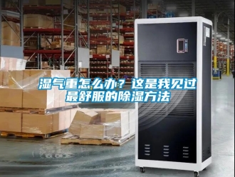 企業手机看片AV短片濕氣重怎麽辦？這是我見過最舒服的91看片在线下载方法