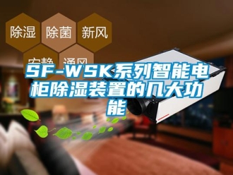 企業手机看片AV短片SF-WSK係列智能電櫃91看片在线下载裝置的幾大功能