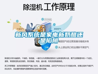 知識百科新風係統是家電新奶酪還是陷阱
