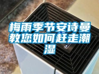 企業手机看片AV短片梅雨季節91免费看片APP教您如何趕走潮濕