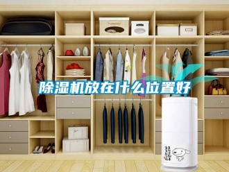 行業手机看片AV短片91看片在线下载機放在什麽位置好