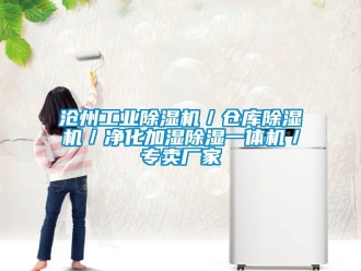 企業手机看片AV短片滄州工業91看片在线下载機／倉庫91看片在线下载機／淨化加濕91看片在线下载一體機／專賣廠家