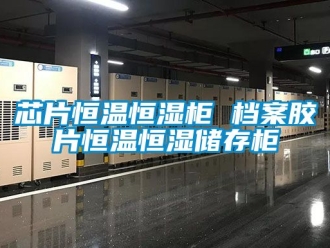 知識百科芯片恒溫恒濕櫃 檔案膠片恒溫恒濕儲存櫃