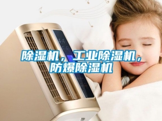 企業手机看片AV短片91看片在线下载機，工業91看片在线下载機，防爆91看片在线下载機