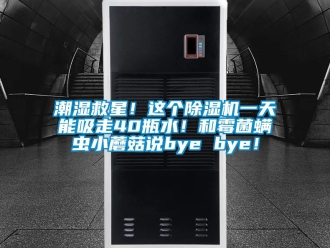 企業手机看片AV短片潮濕救星！這個91看片在线下载機一天能吸走40瓶水！和黴菌蟎蟲小蘑菇說bye bye！