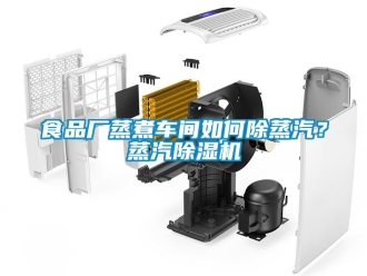 企業手机看片AV短片食品廠蒸煮車間如何除蒸汽？蒸汽91看片在线下载機
