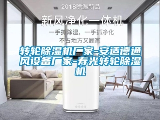 企業手机看片AV短片轉輪91看片在线下载機廠家-安適德通風設備廠家-壽光轉輪91看片在线下载機