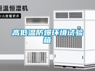 企業手机看片AV短片高低溫防爆環境試驗箱