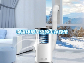 企業手机看片AV短片潮濕環境是蟲的生存良地