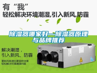 行業手机看片AV短片91看片在线下载器哪家好—91看片在线下载器原理與品牌推薦