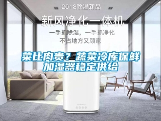 企業手机看片AV短片菜比肉貴？蔬菜冷庫保鮮加濕器穩定供給
