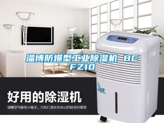 企業手机看片AV短片淄博防爆型工業91看片在线下载機 BCFZ10