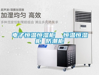 知識百科電子恒溫恒濕櫃  恒溫恒濕櫃 防潮櫃