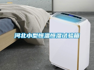 知識百科河北小型恒溫恒濕試驗箱