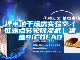 常見問題鋰電池幹燥房實驗室（低露點轉輪91看片在线下载機）建造SICOLAB