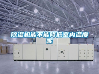行業手机看片AV短片91看片在线下载機能不能降低室內溫度呢