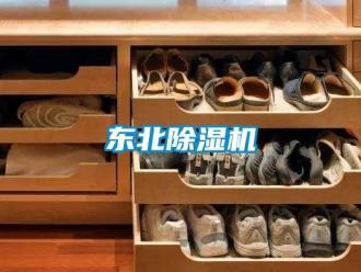 企業手机看片AV短片東北91看片在线下载機