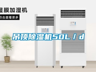 企業手机看片AV短片吊頂91看片在线下载機50L／d