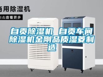 企業手机看片AV短片自貢91看片在线下载機 自貢車間91看片在线下载機金剛品質濕菱製造