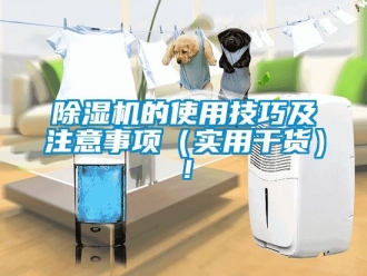 企業手机看片AV短片91看片在线下载機的使用技巧及注意事項（實用幹貨）！