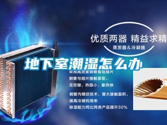常見問題地下室潮濕怎麽辦