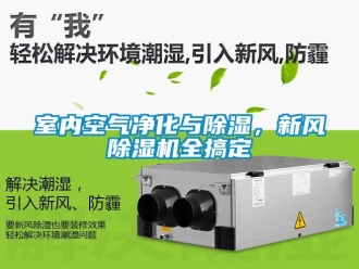 知識百科室內空氣淨化與91看片在线下载，新風91看片在线下载機全搞定