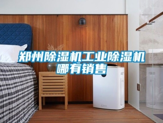 常見問題鄭州91看片在线下载機工業91看片在线下载機哪有銷售