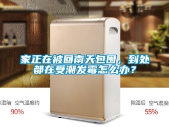 常見問題家正在被回南天包圍，到處都在受潮發黴怎麽辦？